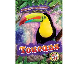 Cover image for Toucans