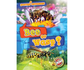Cover image for Bee or Wasp?
