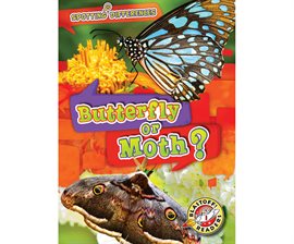 Cover image for Butterfly or Moth?