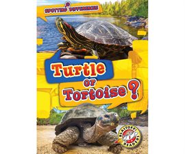 Cover image for Turtle or Tortoise?