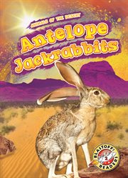 Antelope jackrabbits cover image