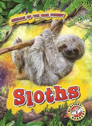 Sloths cover image