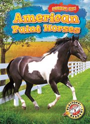 American paint horses cover image