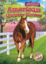 American quarter horses cover image