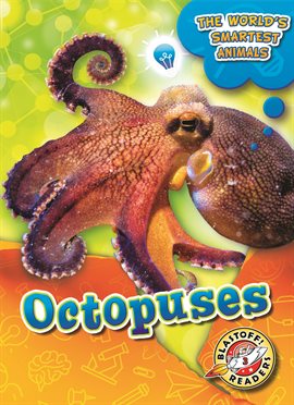 Cover image for Octopuses