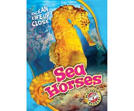 Image de couverture de Sea Horses