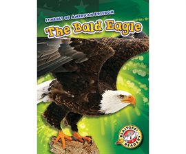 Cover image for The Bald Eagle