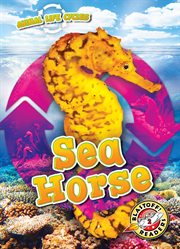 Sea horse cover image