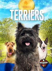 Terriers cover image
