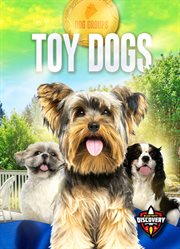 Toy dogs cover image