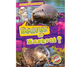 Cover image for Beaver or Muskrat?