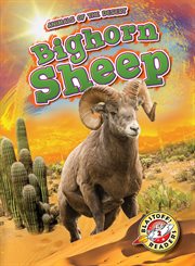 Bighorn sheep cover image