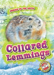 Collared lemmings cover image