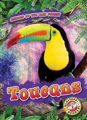 Toucans cover image