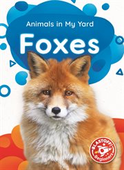 Foxes cover image