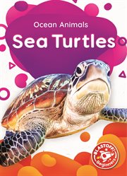 Sea turtles cover image