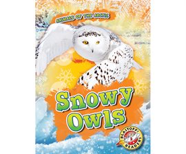 Cover image for Snowy Owls