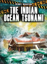 The Indian Ocean tsunami cover image