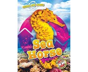 Sea horse cover image