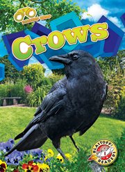 Crows cover image