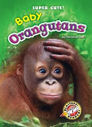 Baby orangutans cover image