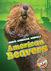 American beavers cover image