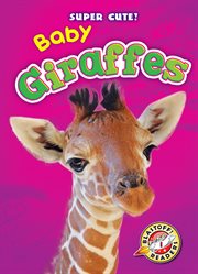 Baby giraffes cover image