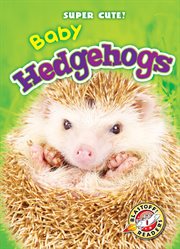 Baby hedgehogs cover image