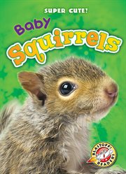 Baby squirrels cover image