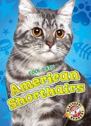 American shorthairs cover image