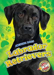 Labrador retrievers cover image
