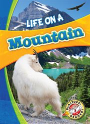 Life on a mountain cover image