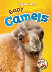 Baby camels cover image