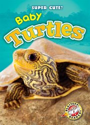Baby turtles cover image
