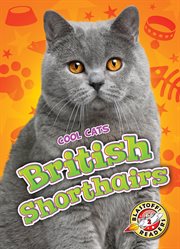 British shorthairs cover image
