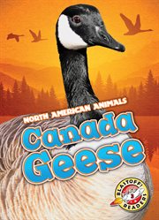 Canada geese cover image