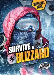 Survive a blizzard cover image