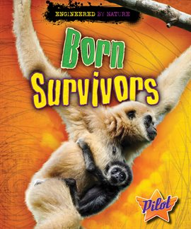 Cover image for Born Survivors