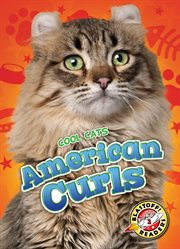 American curls cover image