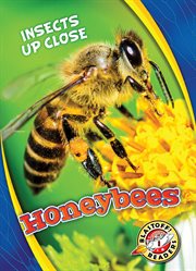 Honeybees cover image