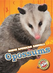 Opossums cover image