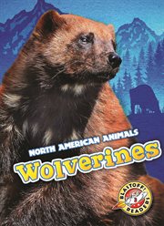 Wolverines cover image