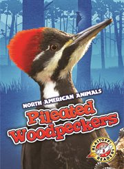 Pileated woodpeckers cover image
