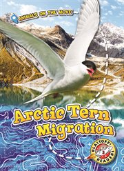 Arctic tern migration cover image