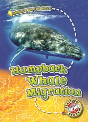 Humpback whale migration cover image
