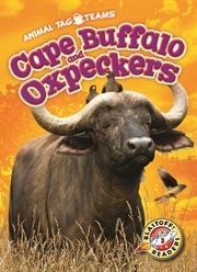 Cape buffalo and oxpeckers cover image