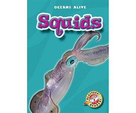Cover image for Squids