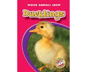 Ducklings cover image