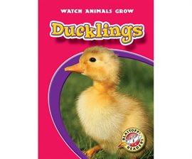 Cover image for Ducklings