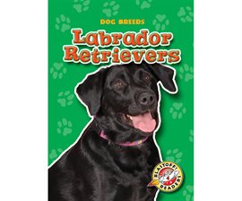 Cover image for Labrador Retrievers